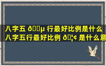 八字五 🐵 行最好比例是什么（八字五行最好比例 🦢 是什么意思）